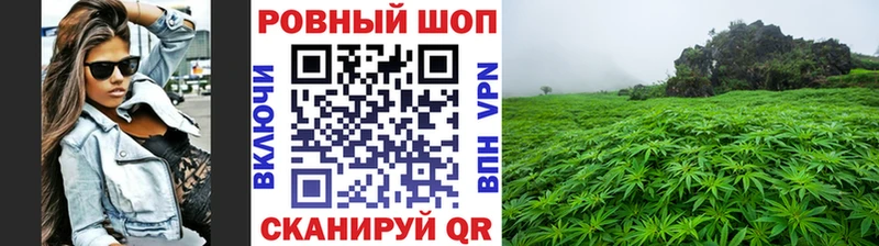 Наркотические вещества Гвардейск Бошки Шишки  APVP  Меф мяу мяу  АМФЕТАМИН  Кокаин 