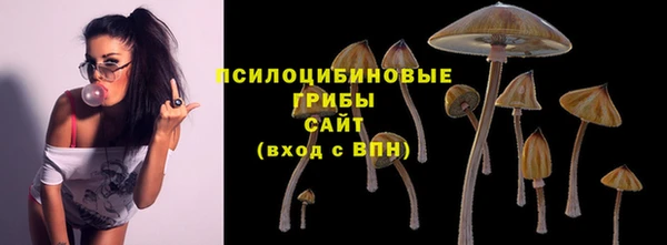 сатива Алзамай
