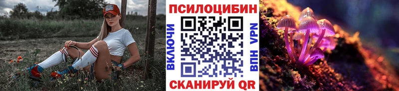 Псилоцибиновые грибы Psilocybe  продажа наркотиков  Гвардейск 